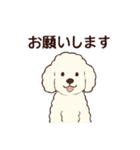 白いプードルちゃん（個別スタンプ：4）
