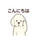 白いプードルちゃん（個別スタンプ：6）