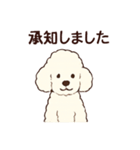 白いプードルちゃん（個別スタンプ：9）