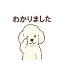 白いプードルちゃん（個別スタンプ：10）