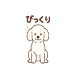 白いプードルちゃん（個別スタンプ：11）