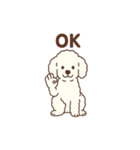 白いプードルちゃん（個別スタンプ：12）