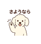 白いプードルちゃん（個別スタンプ：14）