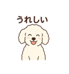 白いプードルちゃん（個別スタンプ：15）