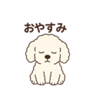 白いプードルちゃん（個別スタンプ：16）