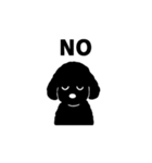 standard poodle black（個別スタンプ：1）