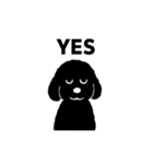 standard poodle black（個別スタンプ：3）