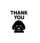 standard poodle black（個別スタンプ：8）