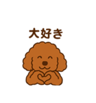 アプリコットプードルちゃん（個別スタンプ：5）