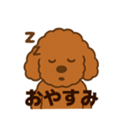 アプリコットプードルちゃん（個別スタンプ：6）