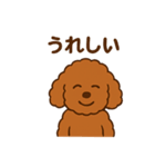 アプリコットプードルちゃん（個別スタンプ：7）