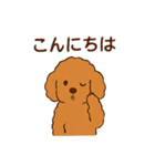 アプリコットプードルちゃん（個別スタンプ：8）