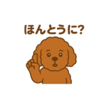 アプリコットプードルちゃん（個別スタンプ：10）