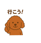 アプリコットプードルちゃん（個別スタンプ：11）