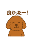 アプリコットプードルちゃん（個別スタンプ：12）