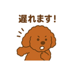 アプリコットプードルちゃん（個別スタンプ：14）