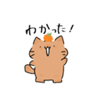 あほねこスタンプ 夏（個別スタンプ：19）