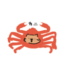 あほねこスタンプ 夏（個別スタンプ：23）