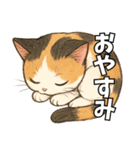 少女漫画風ネコ（個別スタンプ：4）