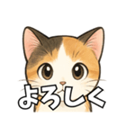 少女漫画風ネコ（個別スタンプ：12）