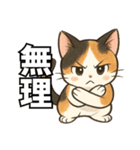 少女漫画風ネコ（個別スタンプ：19）