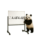 毎日使える☆動物便利ボードメッセージ（個別スタンプ：3）