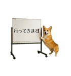 毎日使える☆動物便利ボードメッセージ（個別スタンプ：4）