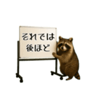 毎日使える☆動物便利ボードメッセージ（個別スタンプ：11）