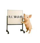 毎日使える☆動物便利ボードメッセージ（個別スタンプ：17）