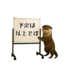 毎日使える☆動物便利ボードメッセージ（個別スタンプ：22）