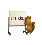 毎日使える☆動物便利ボードメッセージ（個別スタンプ：23）