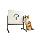 毎日使える☆動物便利ボードメッセージ（個別スタンプ：24）