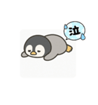 ペンギンくんのネガティブスタンプ1（個別スタンプ：16）