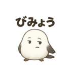 日常会話でずっと使える♡シマエナガちゃん（個別スタンプ：24）