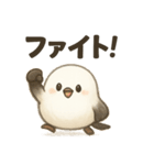 日常会話でずっと使える♡シマエナガちゃん（個別スタンプ：25）