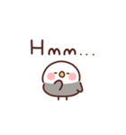 インコの英語（個別スタンプ：22）