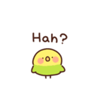 インコの英語（個別スタンプ：24）