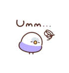 インコの英語（個別スタンプ：31）