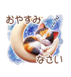 3D 夏によく使う言葉の三毛猫スタンプ（個別スタンプ：4）