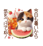 3D 夏によく使う言葉の三毛猫スタンプ（個別スタンプ：7）