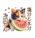 3D 夏によく使う言葉の三毛猫スタンプ（個別スタンプ：20）