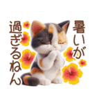 3D 夏によく使う言葉の三毛猫スタンプ（個別スタンプ：21）