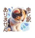 3D 夏によく使う言葉の三毛猫スタンプ（個別スタンプ：29）