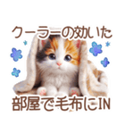 3D 夏によく使う言葉の三毛猫スタンプ（個別スタンプ：33）