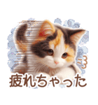 3D 夏によく使う言葉の三毛猫スタンプ（個別スタンプ：34）