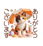 3D 夏によく使う言葉の三毛猫スタンプ（個別スタンプ：37）