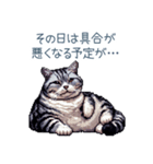 やる気ない猫ちゃん【連絡・面白い】（個別スタンプ：1）