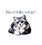 やる気ない猫ちゃん【連絡・面白い】（個別スタンプ：2）