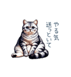 やる気ない猫ちゃん【連絡・面白い】（個別スタンプ：5）