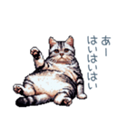 やる気ない猫ちゃん【連絡・面白い】（個別スタンプ：6）